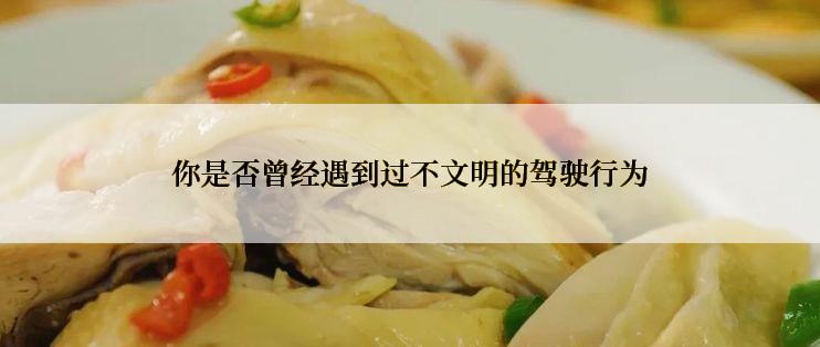 你是否曾经遇到过不文明的驾驶行为
