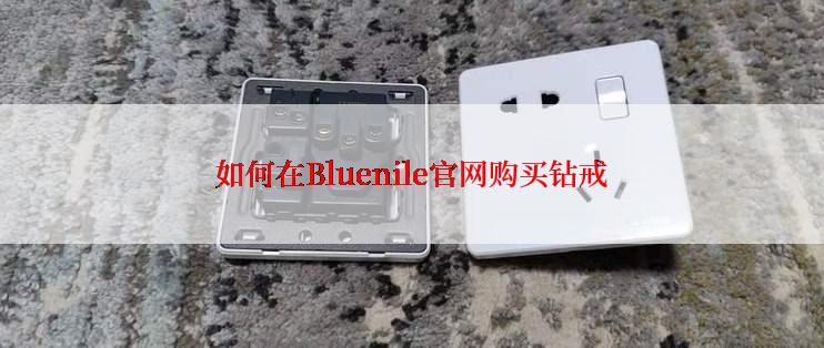 如何在Bluenile官网购买钻戒