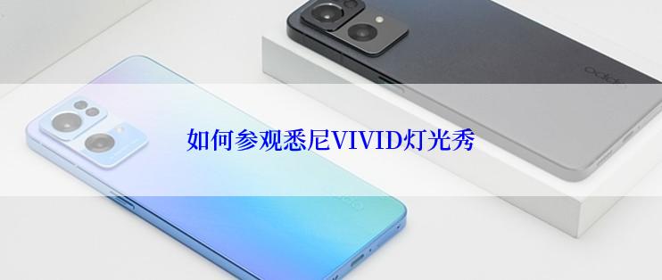 如何参观悉尼VIVID灯光秀