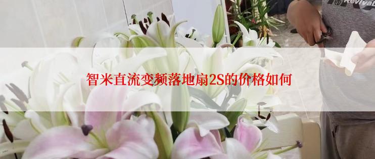  智米直流变频落地扇2S的价格如何