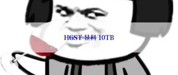 HGST 昱科 10TB