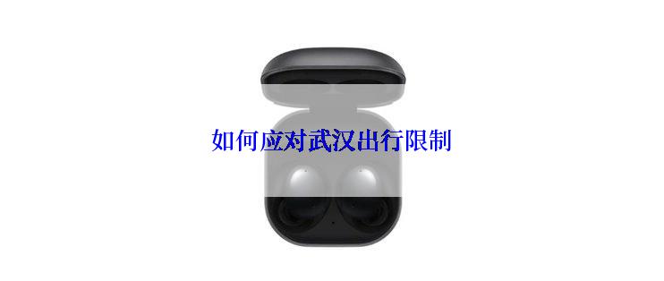 如何应对武汉出行限制