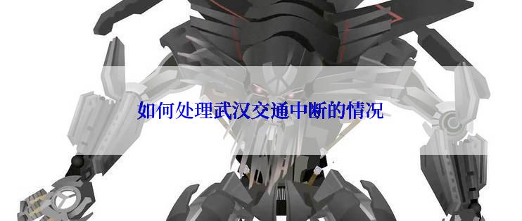 如何处理武汉交通中断的情况
