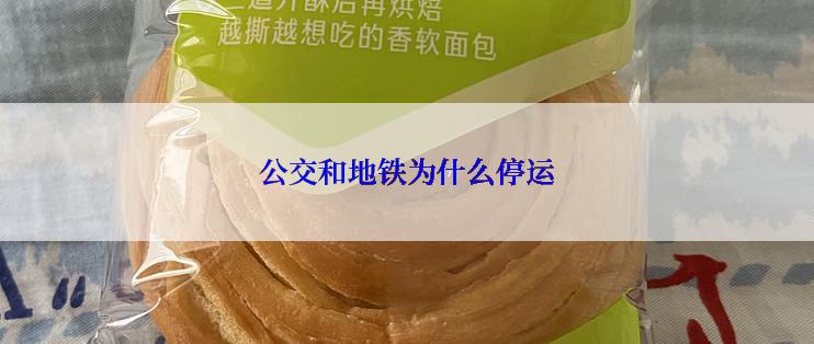 公交和地铁为什么停运