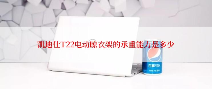 凯迪仕T22电动晾衣架的承重能力是多少