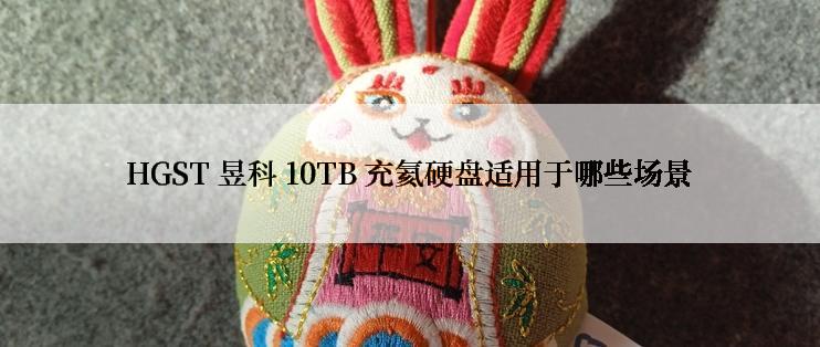 HGST 昱科 10TB 充氦硬盘适用于哪些场景