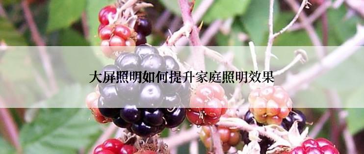 大屏照明如何提升家庭照明效果