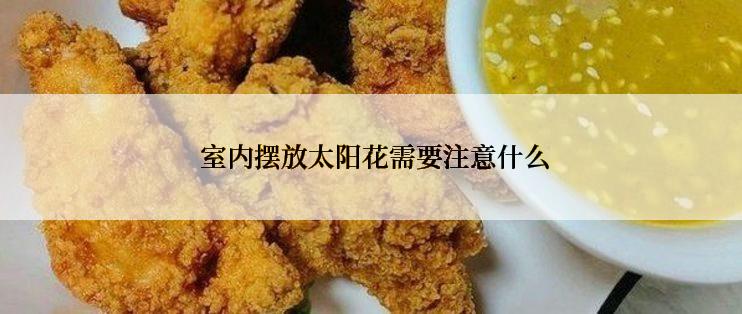  室内摆放太阳花需要注意什么