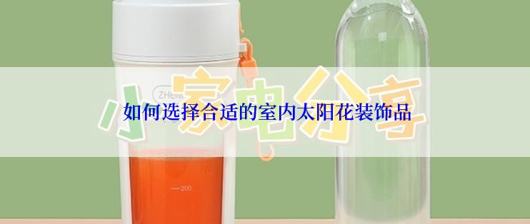  如何选择合适的室内太阳花装饰品