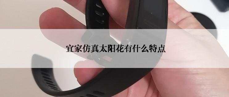  宜家仿真太阳花有什么特点