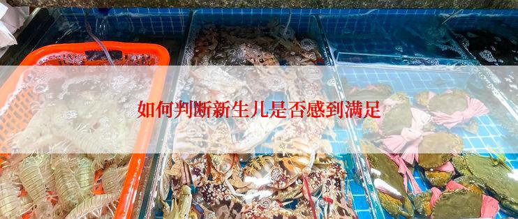 如何判断新生儿是否感到满足
