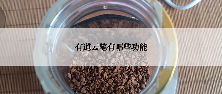 有道云笔有哪些功能