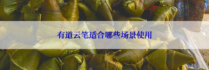 有道云笔适合哪些场景使用