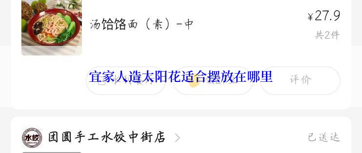 宜家人造太阳花适合摆放在哪里
