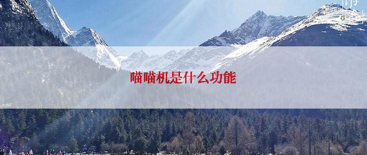 喵喵机是什么功能