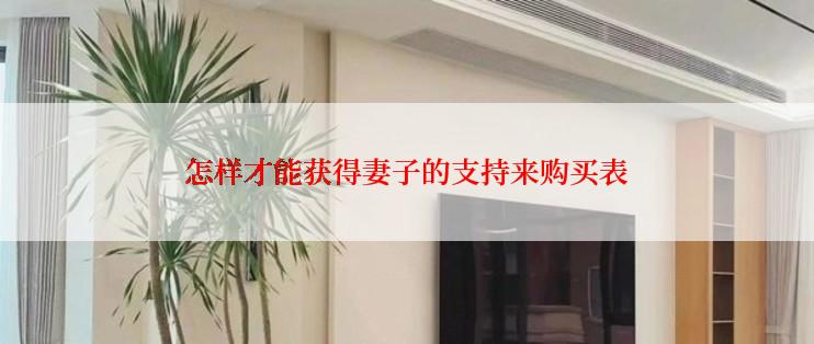 怎样才能获得妻子的支持来购买表