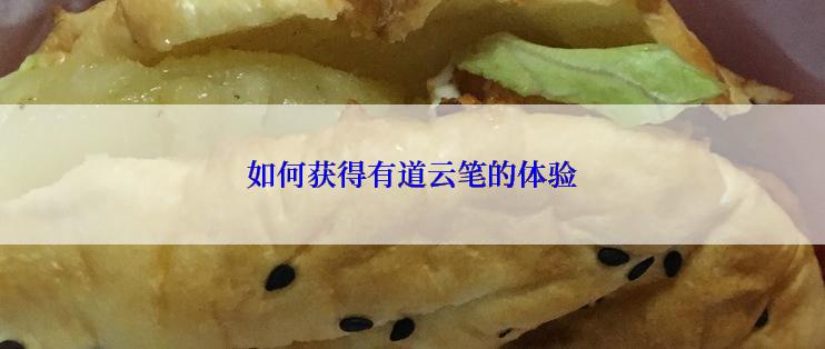 如何获得有道云笔的体验
