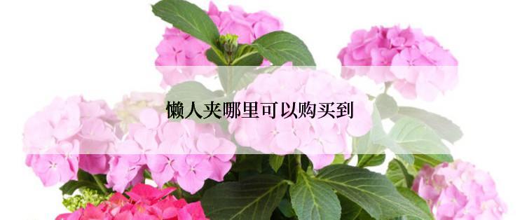 懒人夹哪里可以购买到