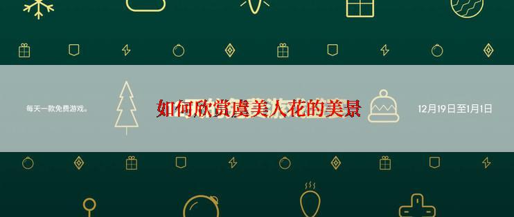  如何欣赏虞美人花的美景