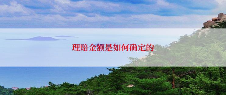 理赔金额是如何确定的