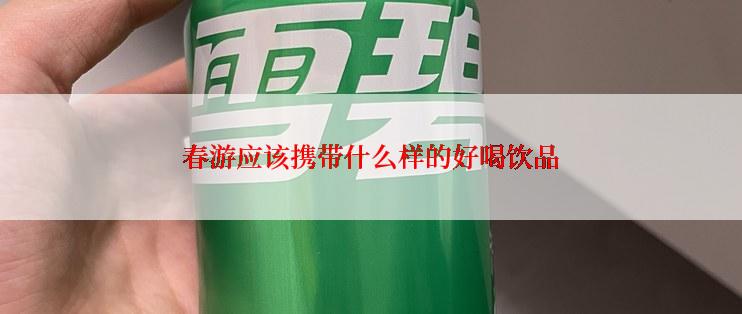 春游应该携带什么样的好喝饮品