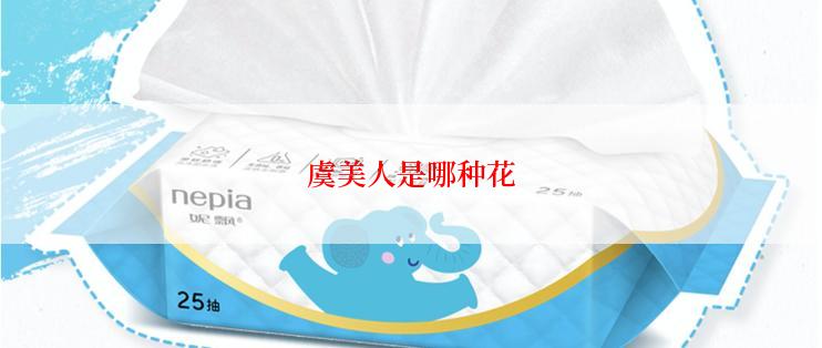 虞美人是哪种花