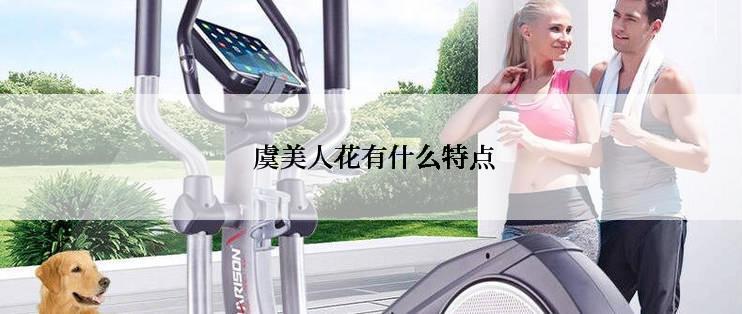 虞美人花有什么特点
