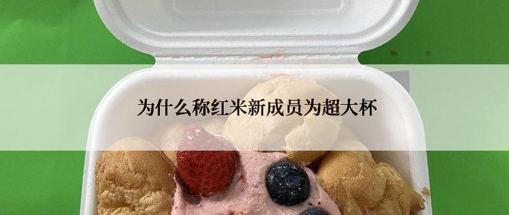  为什么称红米新成员为超大杯