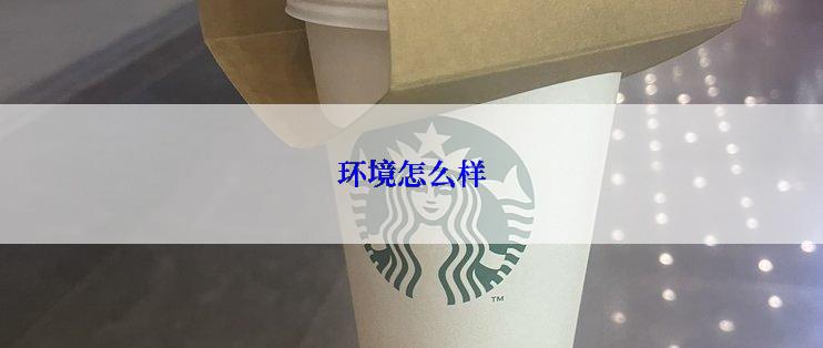 环境怎么样