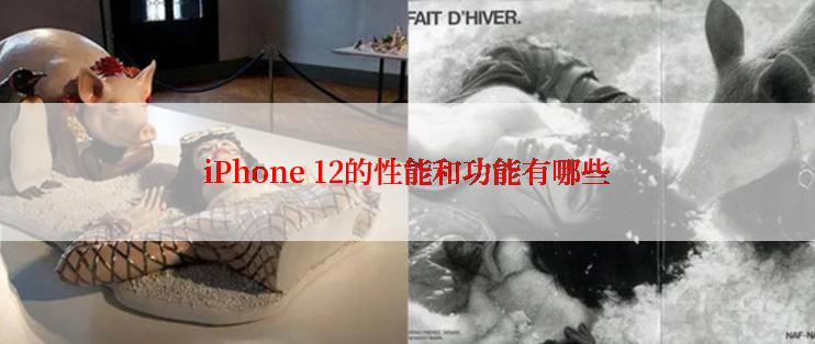 iPhone 12的性能和功能有哪些