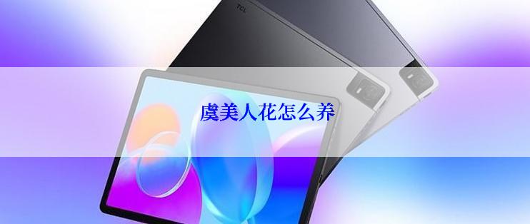  虞美人花怎么养