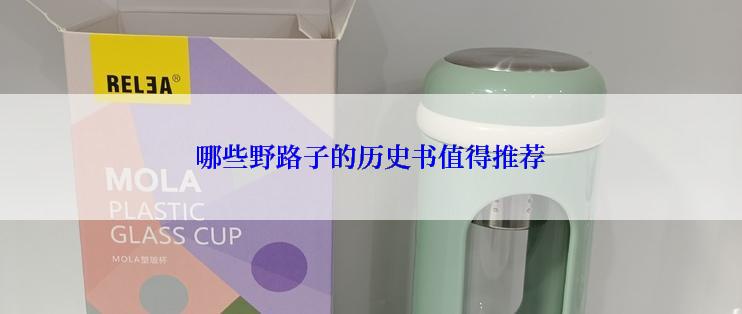 哪些野路子的历史书值得推荐