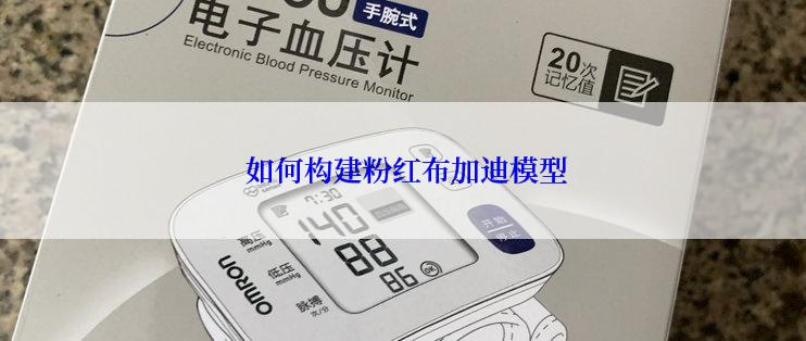 如何构建粉红布加迪模型