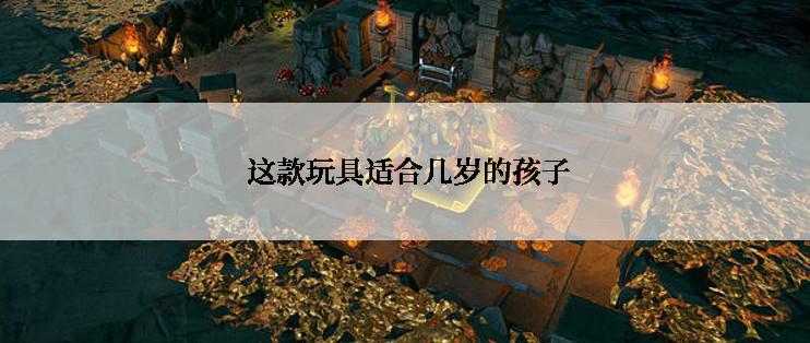  这款玩具适合几岁的孩子