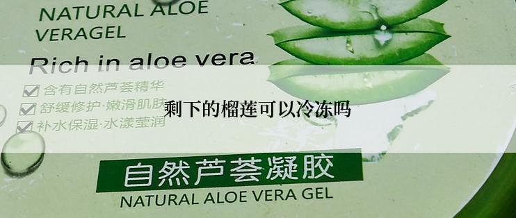 剩下的榴莲可以冷冻吗