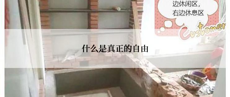 什么是真正的自由