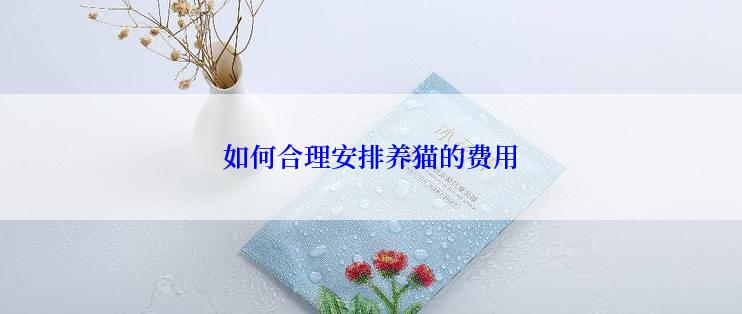 如何合理安排养猫的费用