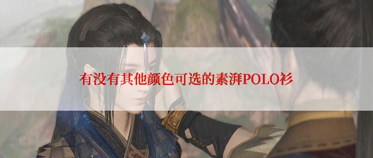 有没有其他颜色可选的素湃POLO衫