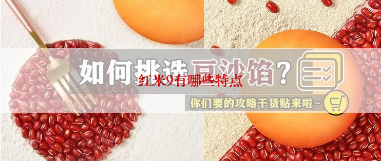 红米9有哪些特点