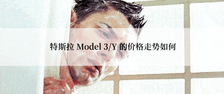  特斯拉 Model 3/Y 的价格走势如何