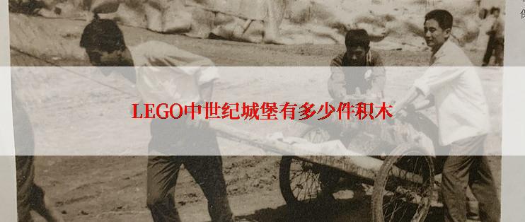 LEGO中世纪城堡有多少件积木
