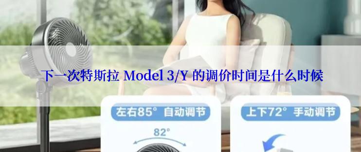  下一次特斯拉 Model 3/Y 的调价时间是什么时候