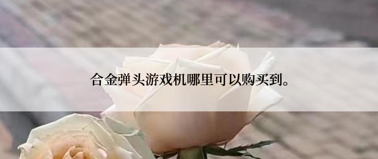 合金弹头游戏机哪里可以购买到。