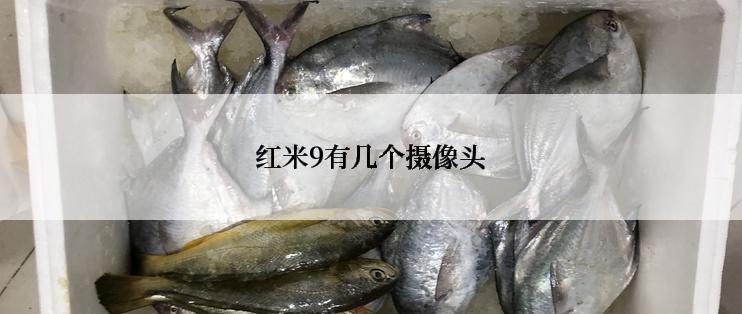 红米9有几个摄像头