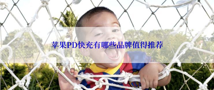 苹果PD快充有哪些品牌值得推荐