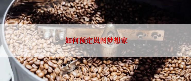  如何预定岚图梦想家