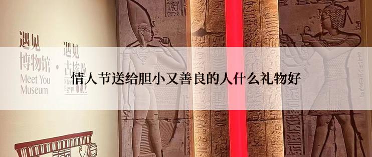 情人节送给胆小又善良的人什么礼物好