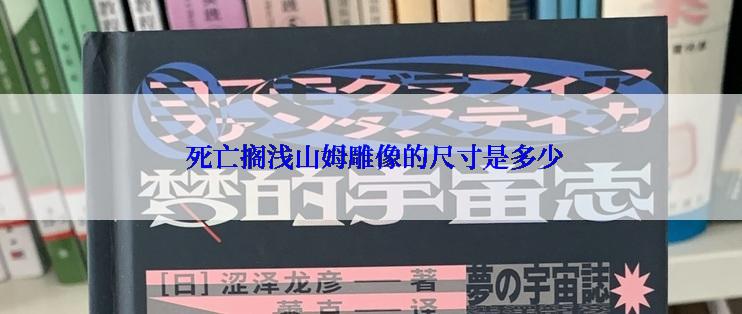 死亡搁浅山姆雕像的尺寸是多少