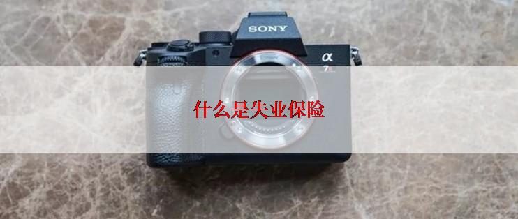 什么是失业保险