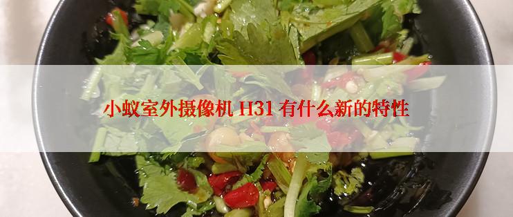 小蚁室外摄像机 H31 有什么新的特性